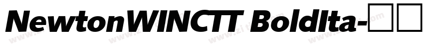 NewtonWINCTT BoldIta字体转换